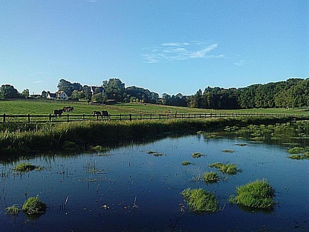 Chambres D'Hotes Du Haras De Coddes Cercy-la-Tour Eksteriør billede